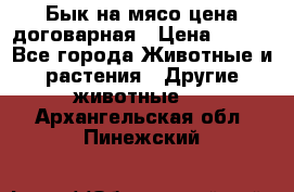 Бык на мясо цена договарная › Цена ­ 300 - Все города Животные и растения » Другие животные   . Архангельская обл.,Пинежский 